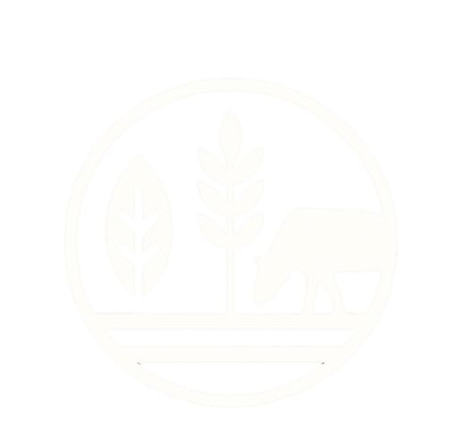 PROTO – GREEN